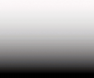bt-bp-miamiheat-animated-cta2-2025-mobile (2).gif