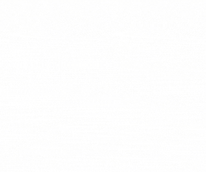 BTQ124 - Retail - Visual - Mobile CTA (300 x 250 px).gif