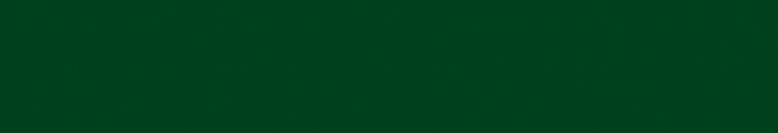 mkt95065-minnesotawild-animated-cta-desktop1-v2
