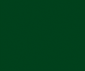 mkt95065-minnesotawild-animated-cta-mobile1-v2