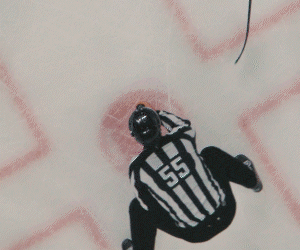mkt95065-minnesotawild-animated-cta2-mobile