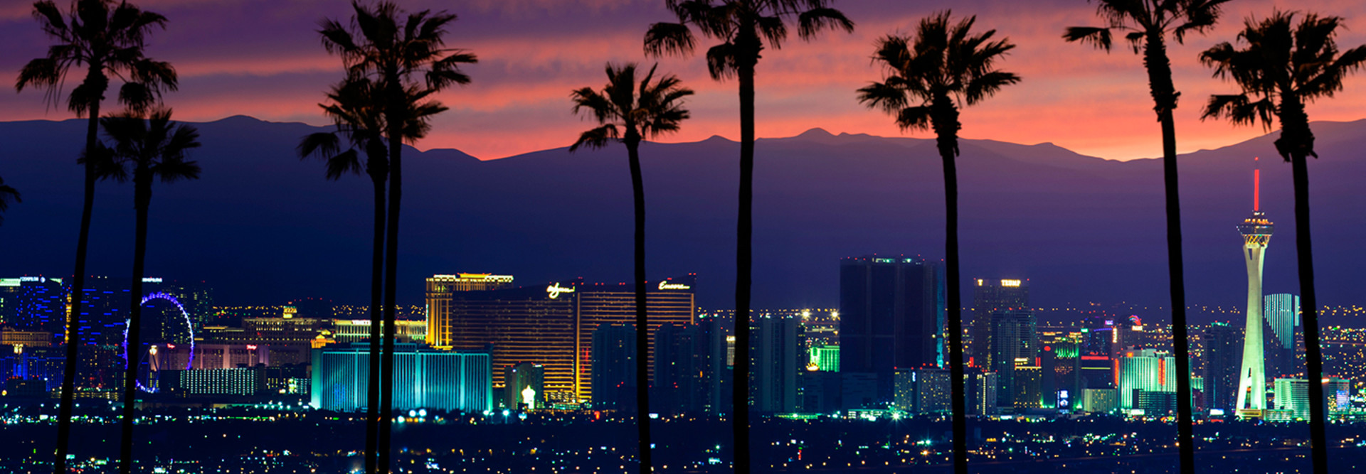 View of the Las Vegas strip skyline at sunset with palm trees