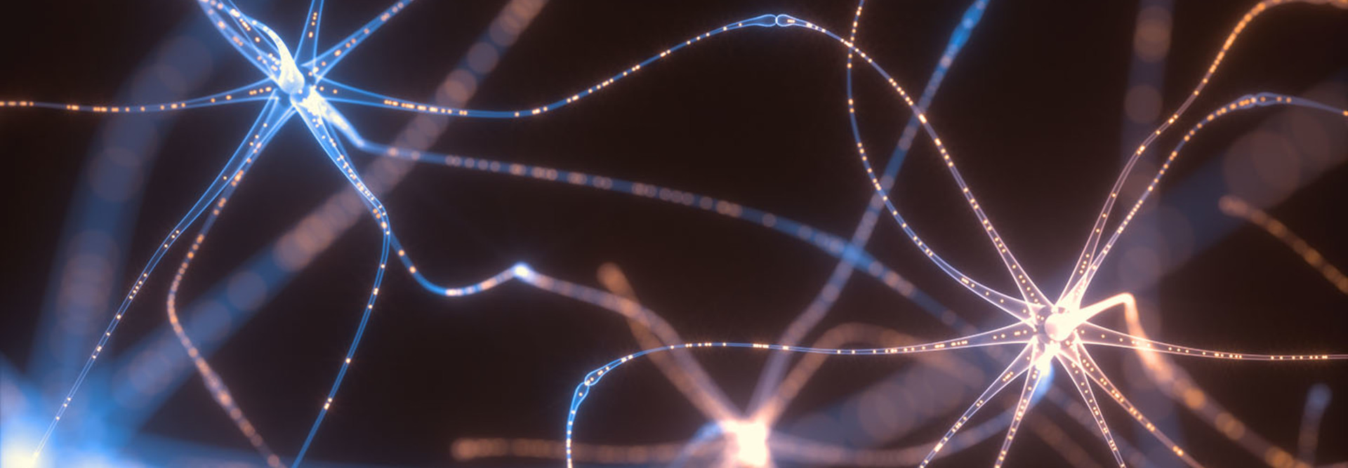 Neurons and Electrical Pulses