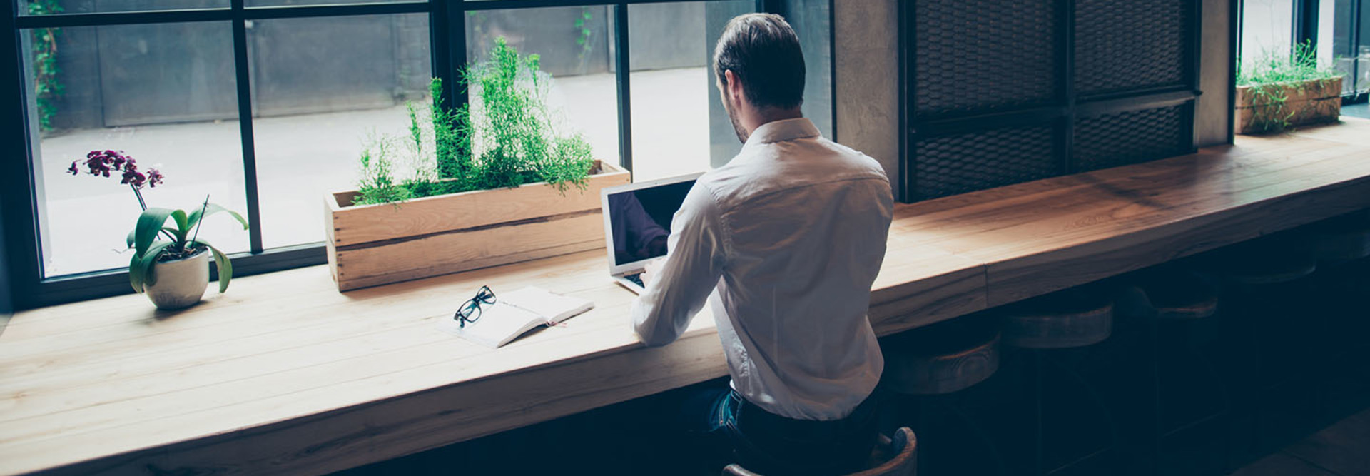 Rear view of a journalist stylish guy writing a story in a workplace in loft styled coworking, well dressed, sitting near window with view of garden