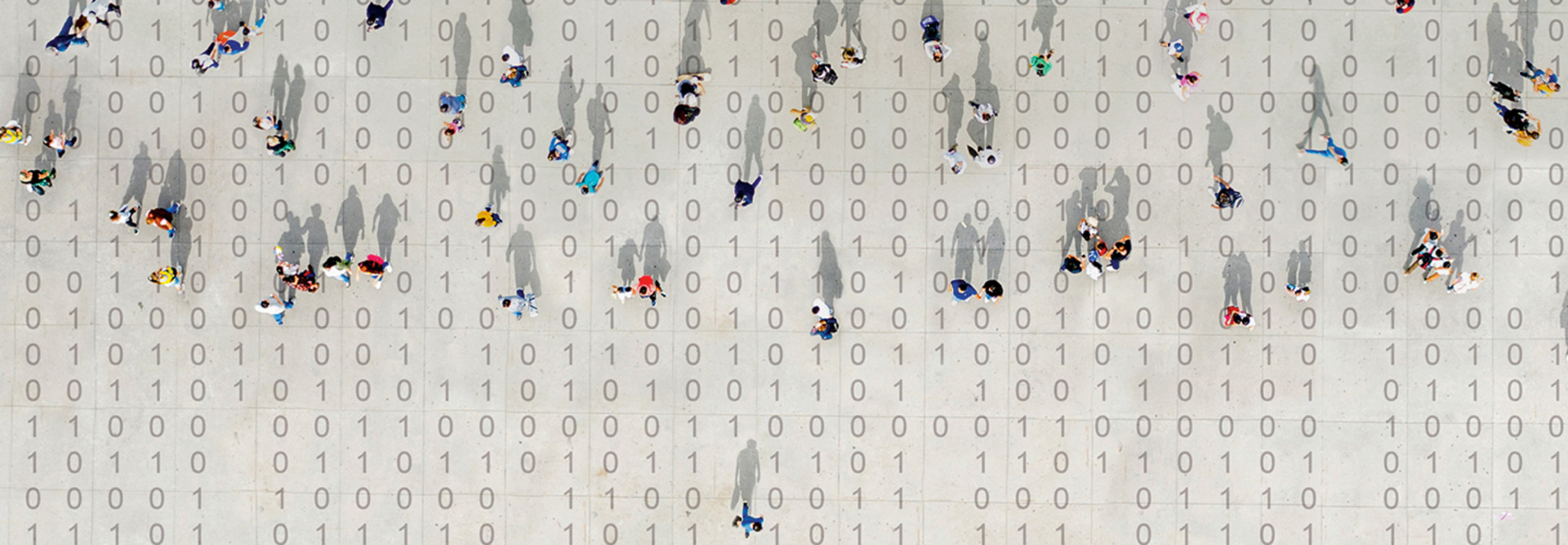 GDPR CCPA