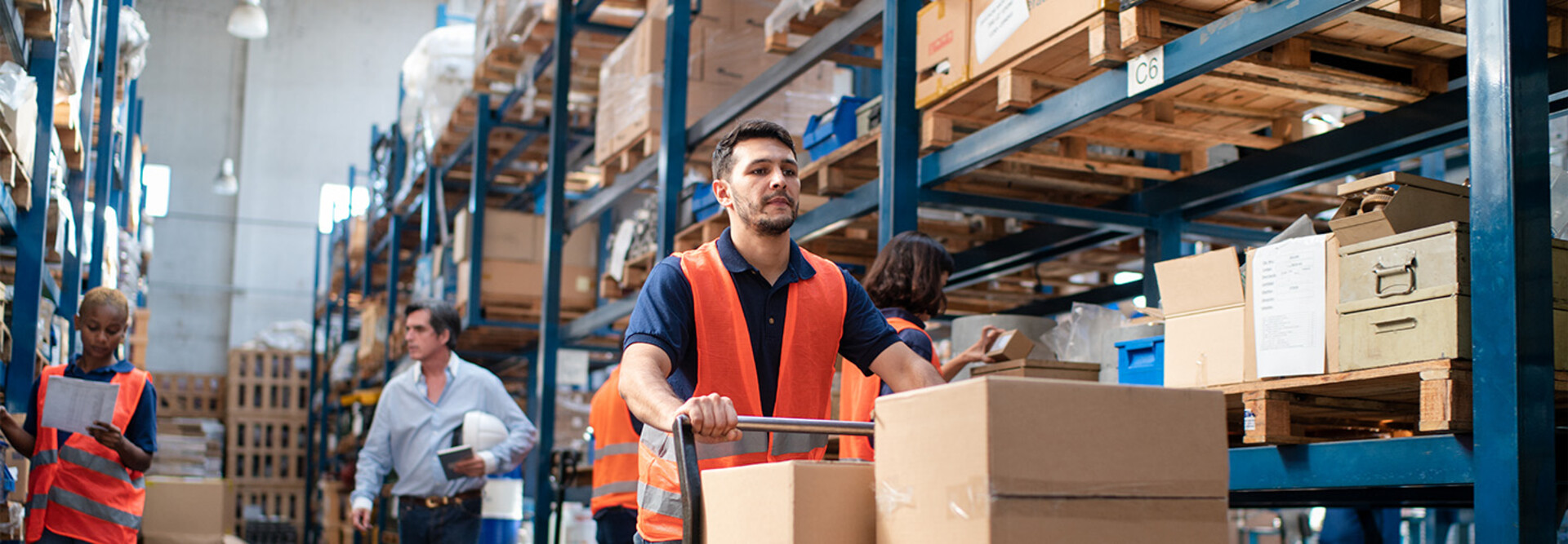 Person shipping boxes