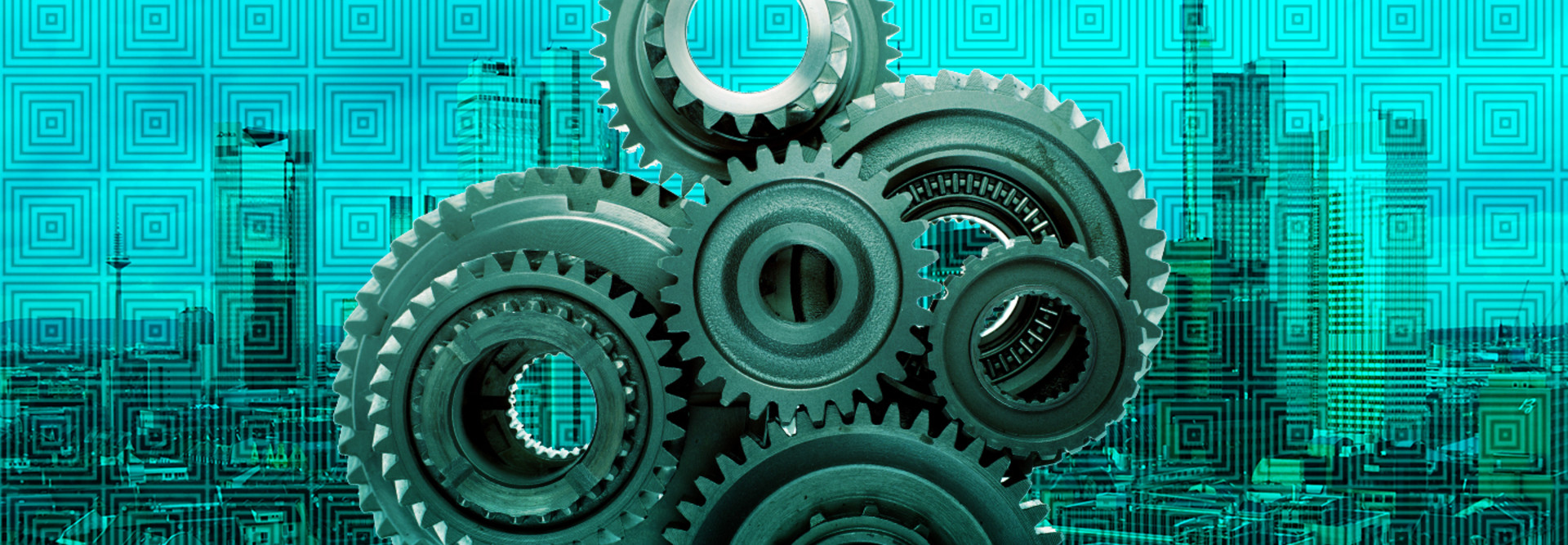 5 Steps for Turning Software Renewals into Business Opportunities 