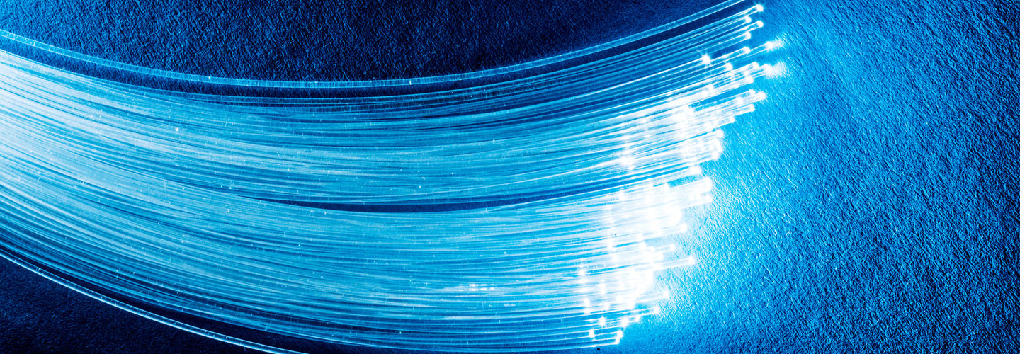 Bundle of optical fibers with lights in the ends.