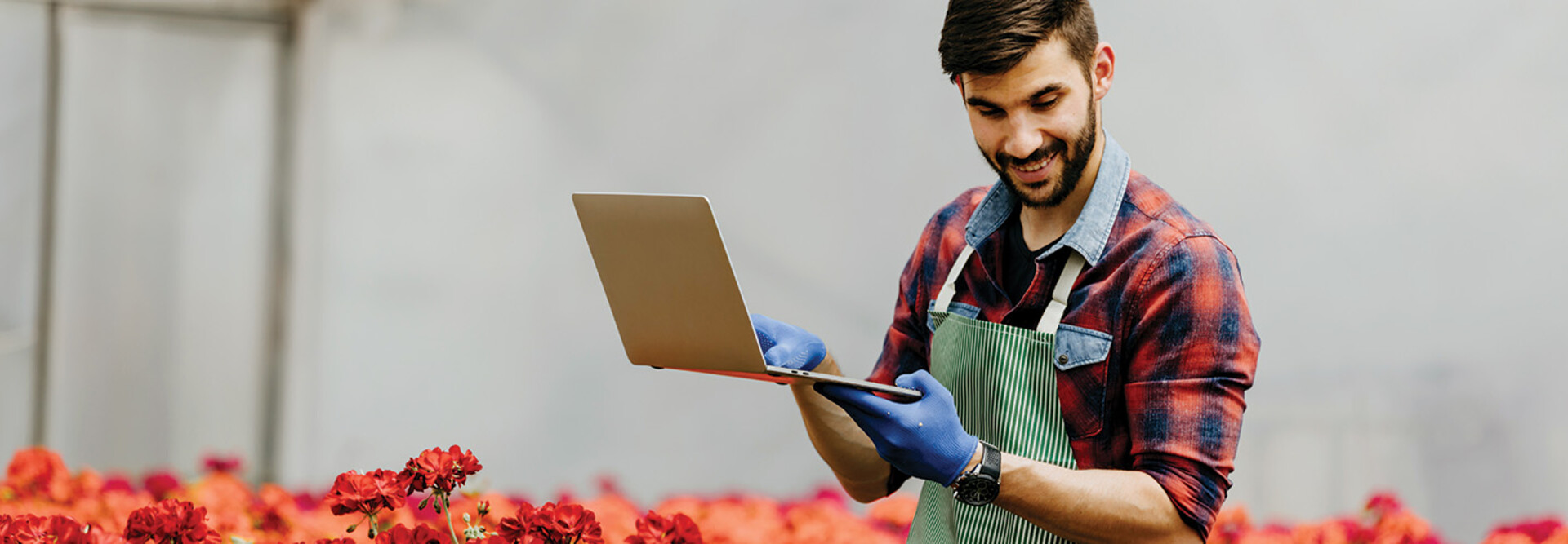 botanist uses laptop in the field