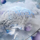 Conceptual Cloud Computing Artificial Intelligence