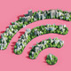 Wi-Fi 8