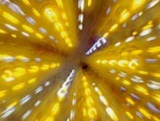 Push Your Server to the Limit