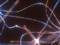 Neurons and Electrical Pulses