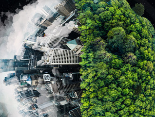 A globe covered in trees and a city