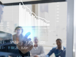 Person reviewing data in the meeting