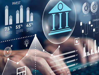 Person using financial website