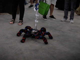 Sven the IoT Robot Spider