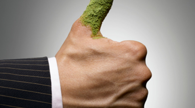 Apple Makes a Green Data Center Pledge