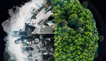 A globe covered in trees and a city