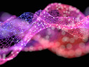 pink and purple mesh network abstract
