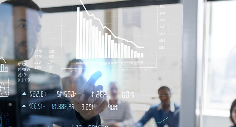 Person reviewing data in the meeting