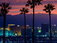 View of the Las Vegas strip skyline at sunset with palm trees