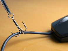 Phishing Attacks Snag Organizations Hook, Line and Sinker