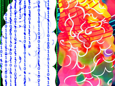 Left and right brain comparison
