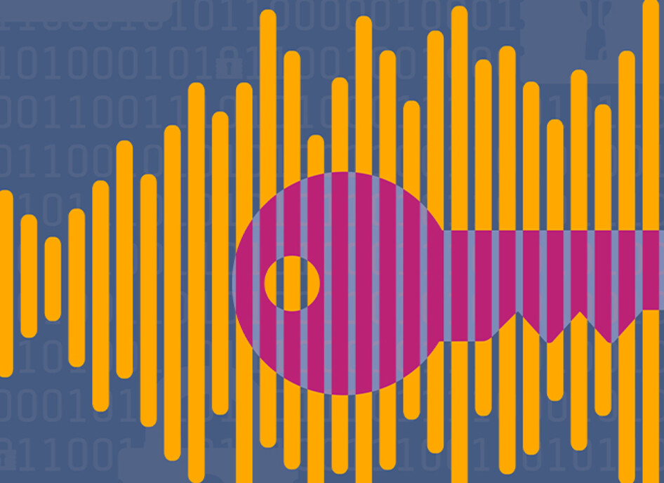 Conceptual verbal security