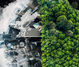 A globe covered in trees and a city