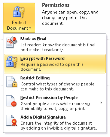 Office secure protect document